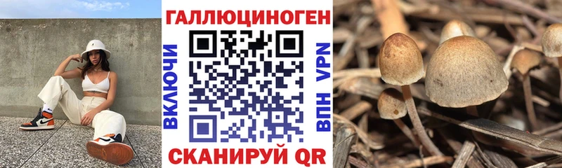 Галлюциногенные грибы мицелий  Балтийск 