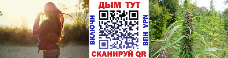Каннабис план Балтийск